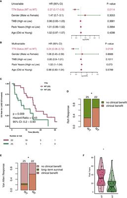 Effect of TTN Mutations on Immune Microenvironment and Efficacy of Immunotherapy in Lung Adenocarcinoma Patients